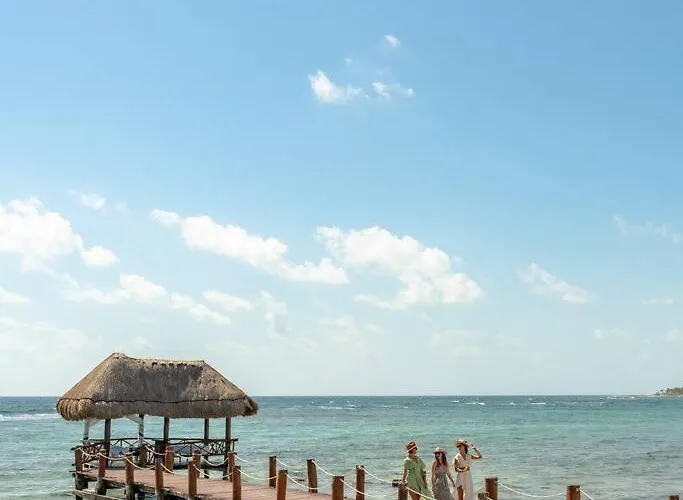 Skies Private Terrace W Jacuzzi W Sea Views Walk To Appartement Akumal